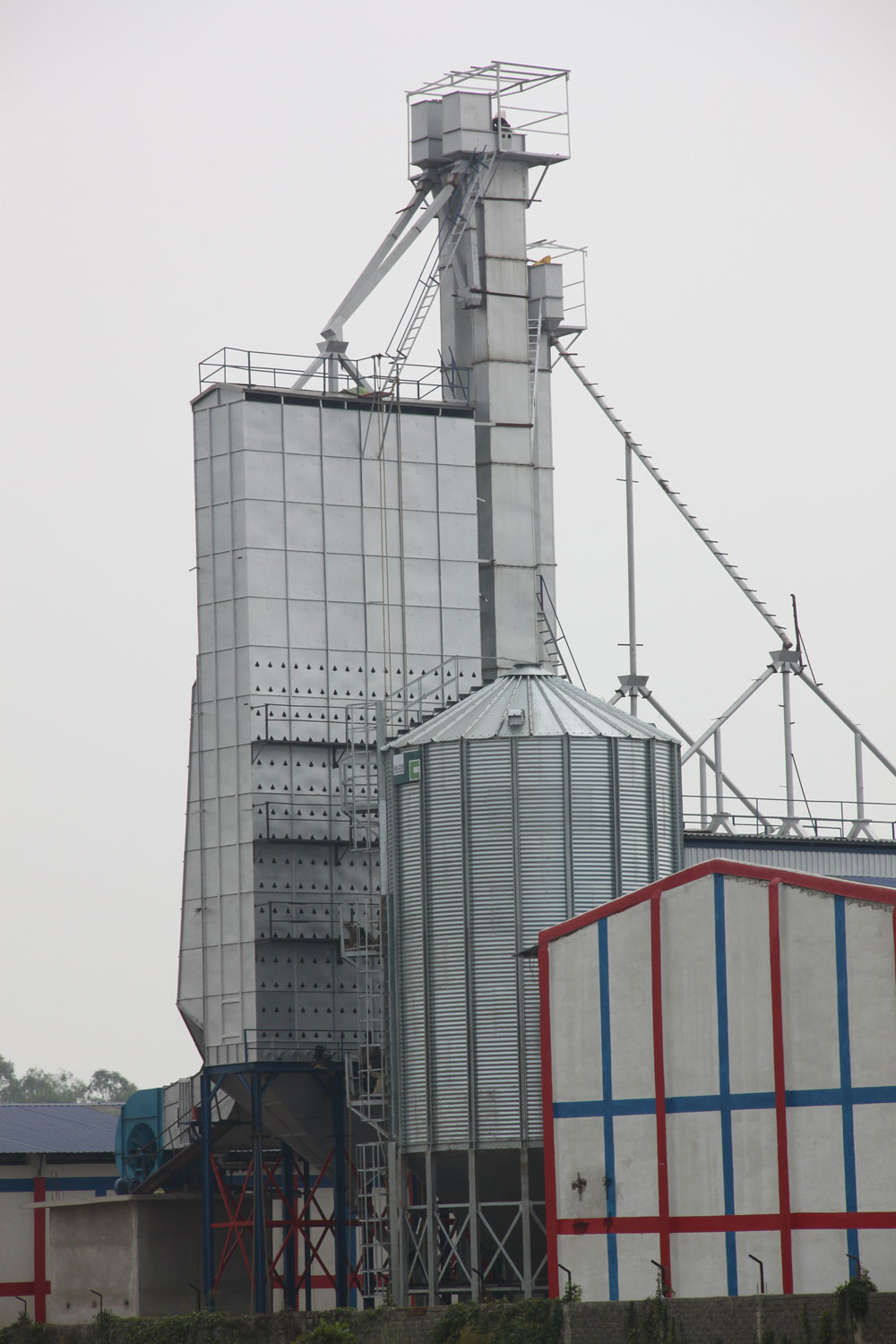 Grain Silo for Rice Mills
